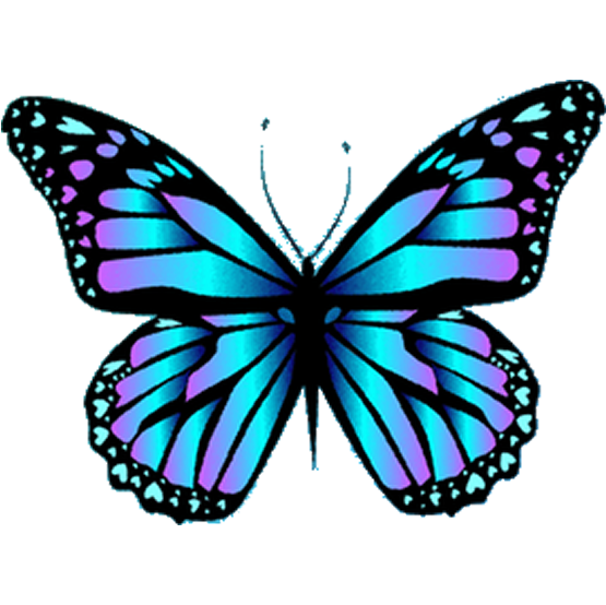 Beneficios de un modelo webcam